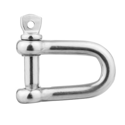 İyi fiyat General Industry Stainless Steel Chain Lifting D Shackle 304L 316L Rigging Hardware çevrimiçi